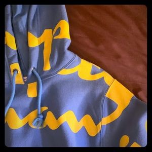 Champion hoodie